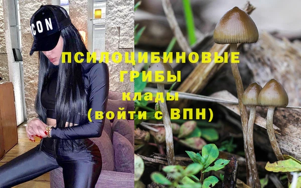 герыч Куйбышев