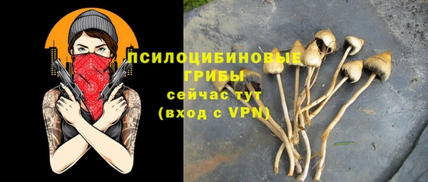 дживик Лабытнанги
